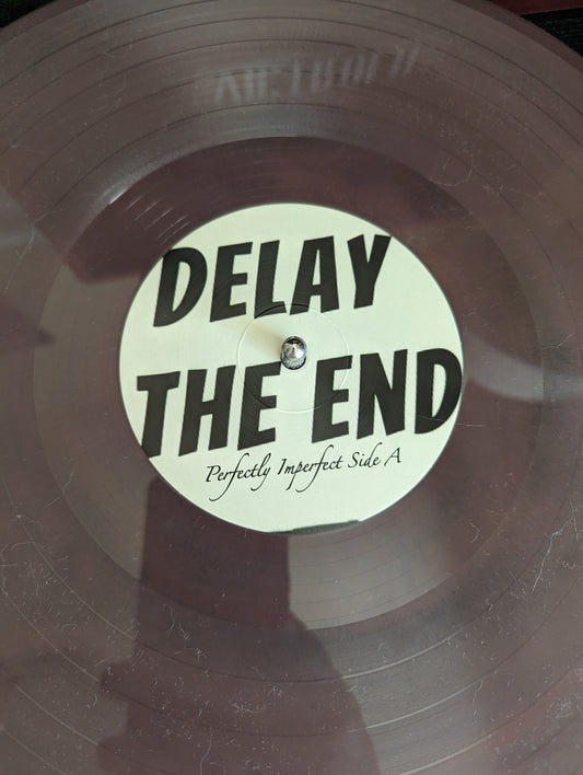 *NEW* Delay the End - Perfectly Imperfect CD/Vinly Bundle