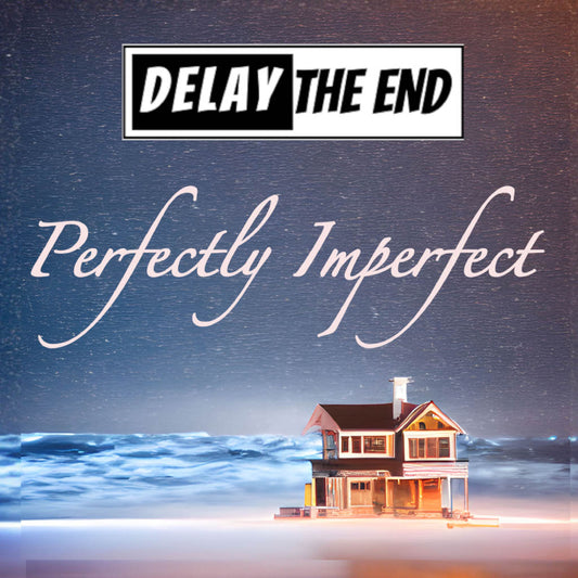 *NEW* Delay the End - Perfectly Imperfect 12" Vinyl